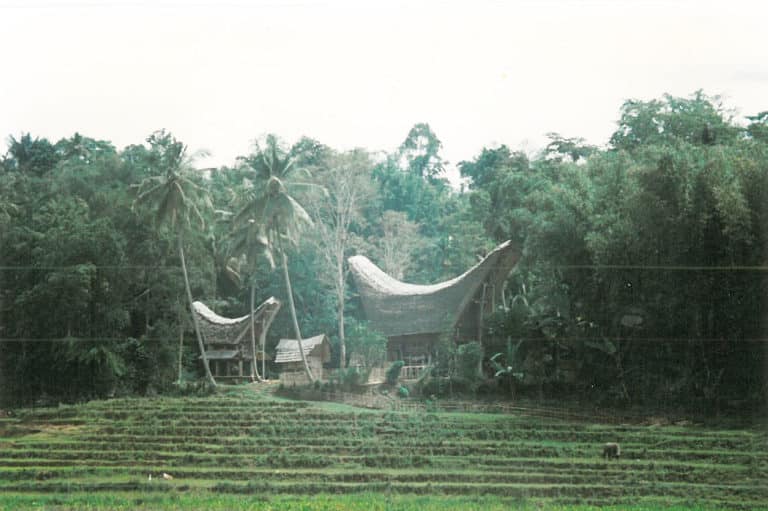 Indonésie : construction traditionnelle du pays Toraja