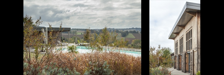 La cour fermée et paysagée entre les volumes enduits et le pigeonnier bois, et vue par la fenêtre sur la toiture végétalisée