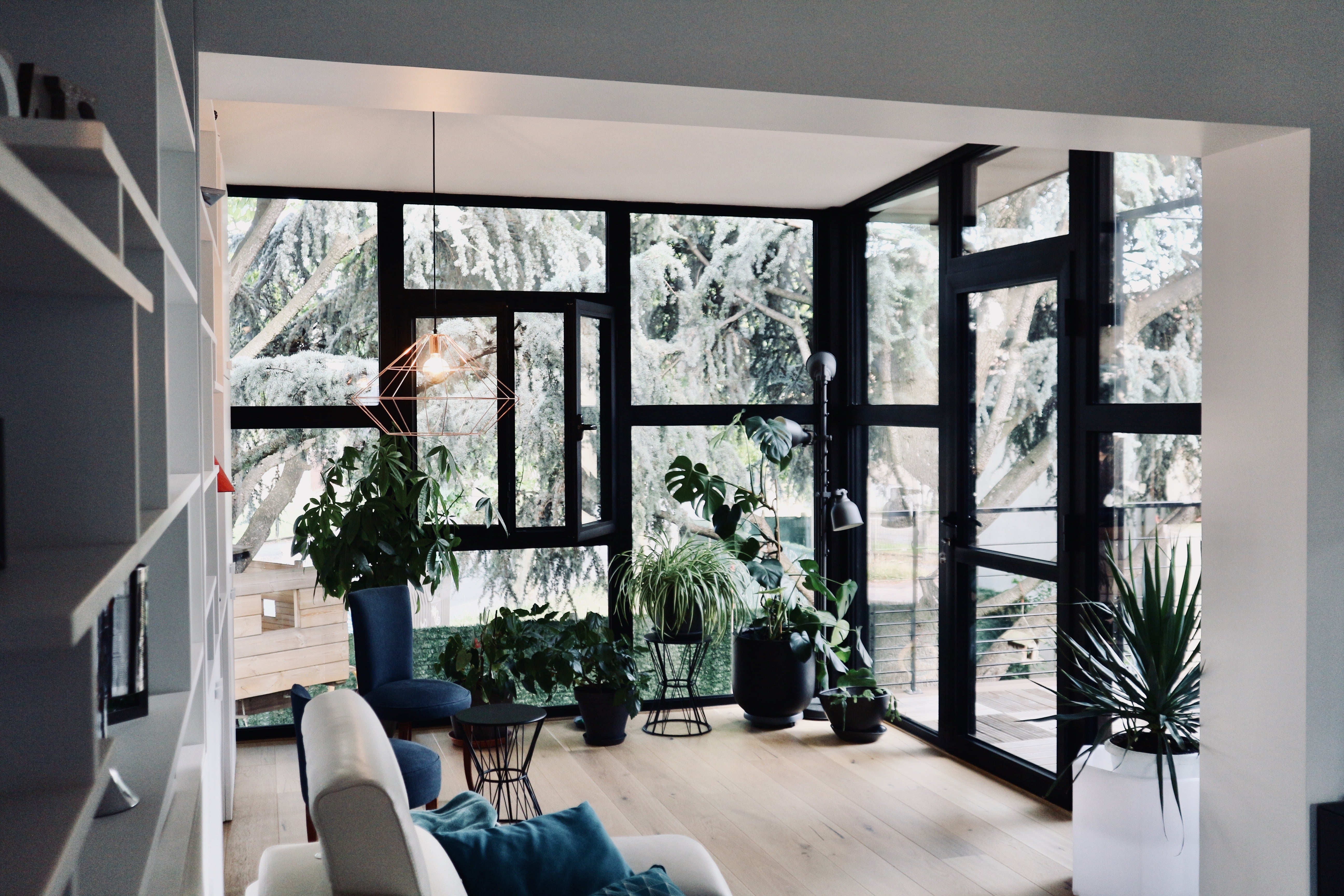 Extension vitrée aux menuiseries noires calepinées façon Mondrian, prolongeant la pièce à vivre vers le cèdre du jardin, sol en parquet clair et plantes vertes