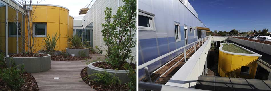 Patio planté sur platelage bois entre les volumes jaunes, et passerelle en toiture longeant la toiture végétalisée